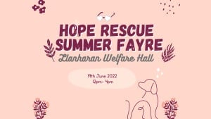 Hope Rescue Summer Fayre Stalls 2022
